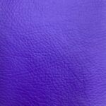 Roxo